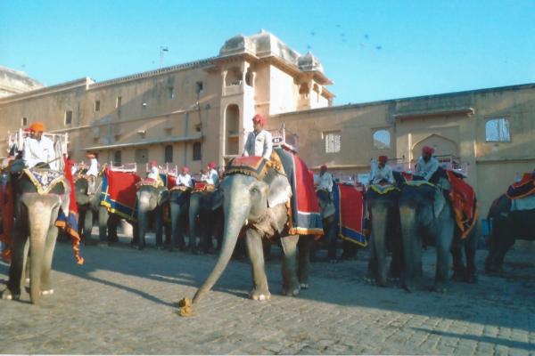 JAIPUR-odlazak na slonovima do rađastanske palače Fort Amber