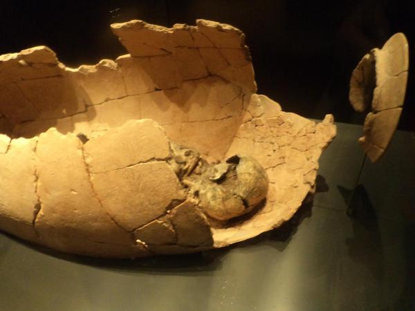 Ostaci dječjeg groba iz ranog neolitika