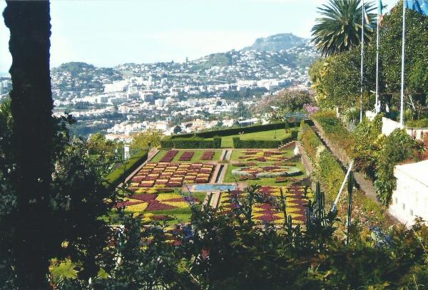 Državni botanički vrt s panoramom Funschala u pozadini