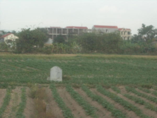 Grob u rižinom polju